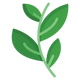 Herbal Wellness